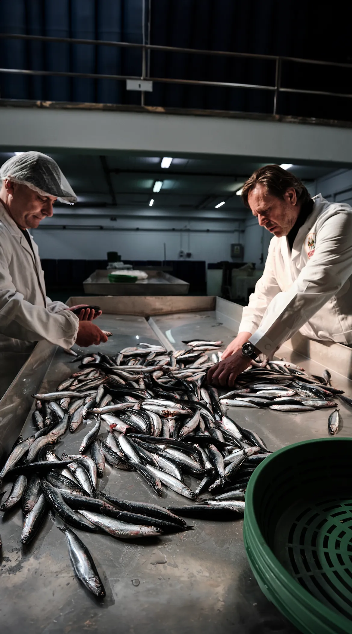 Una pesca nel rispetto dei mari.
